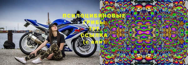 молекула духа Волосово