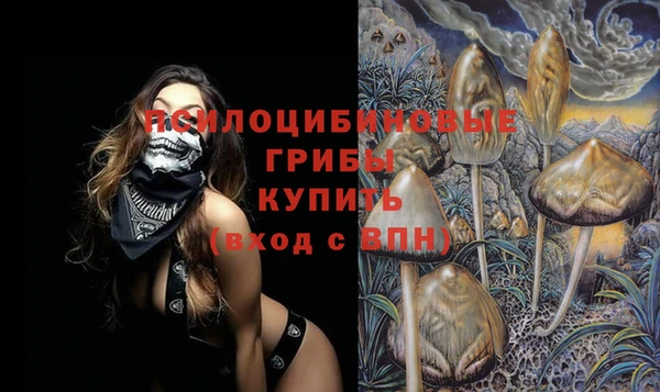 амф Вязьма