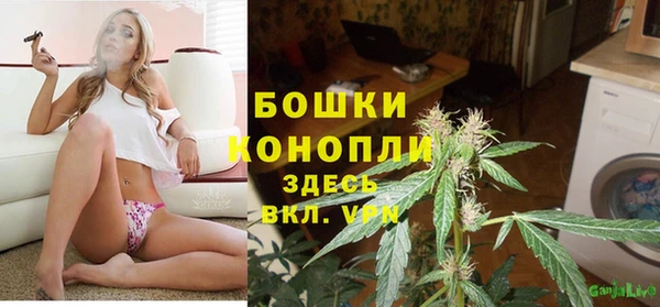 2c-b Вяземский