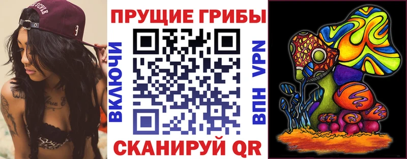 Галлюциногенные грибы MAGIC MUSHROOMS  дарнет шоп  кракен зеркало  Дорогобуж 